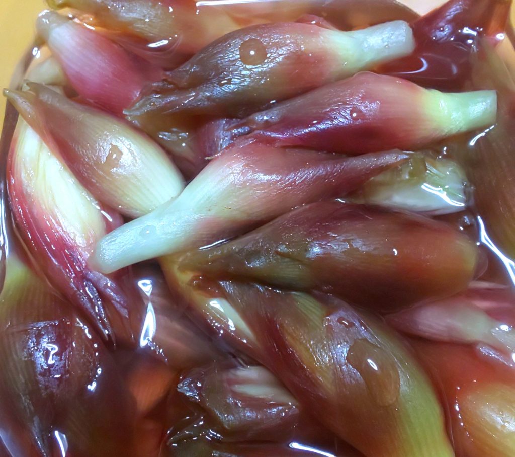 ごとうやの山で採れた茗荷の甘酢漬け